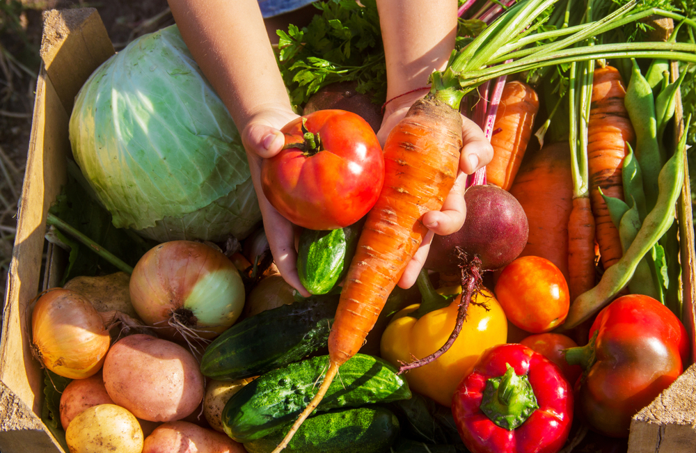 Amplie seu cardápio com produtos de agricultura familiar - Academia Assaí