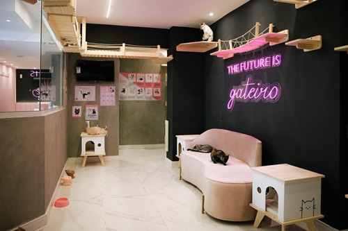 Gato Café - Unidade do Gato Café em Copacabana