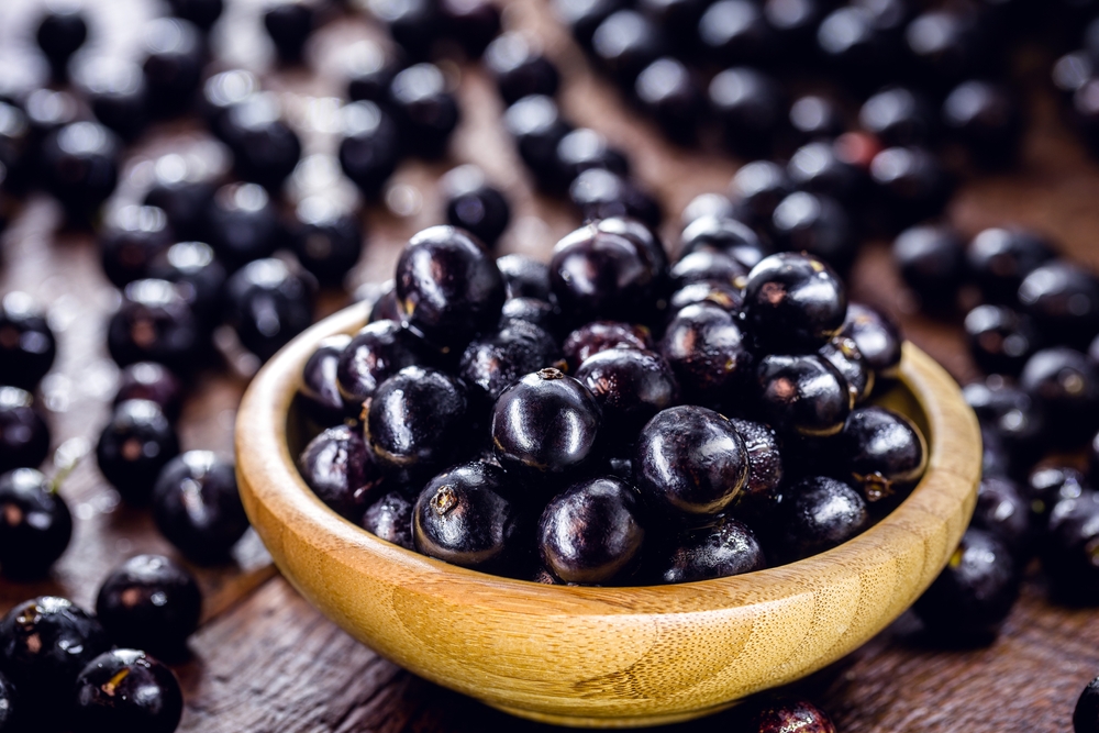 receitas com frutas da primavera: jabuticaba - Academia Assaí