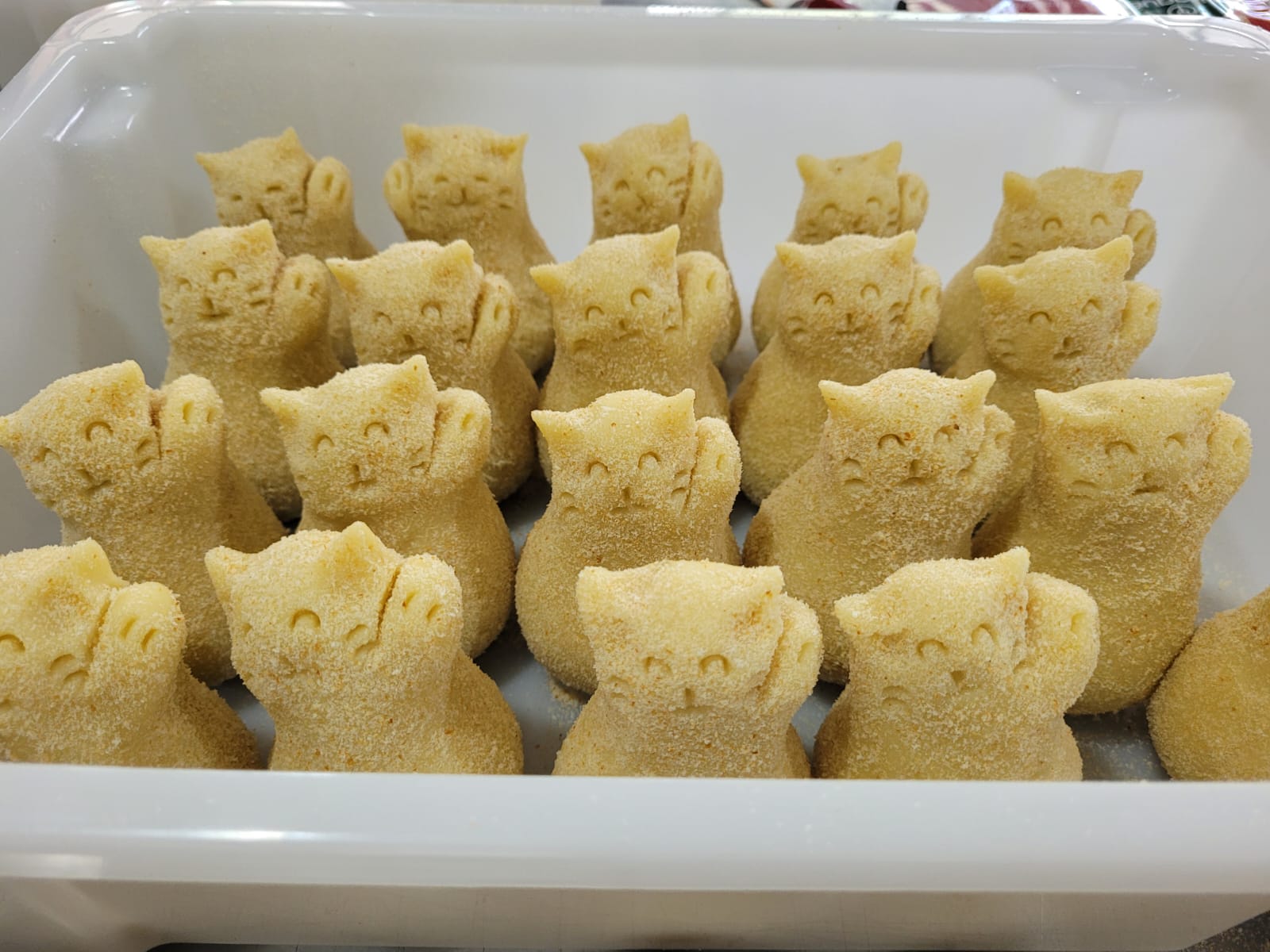 Feirante viraliza com pastel e coxinha em formato de capivara e