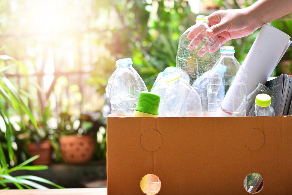 Negócio mais ecológico: cozinha sustentável - Academia Assaí 