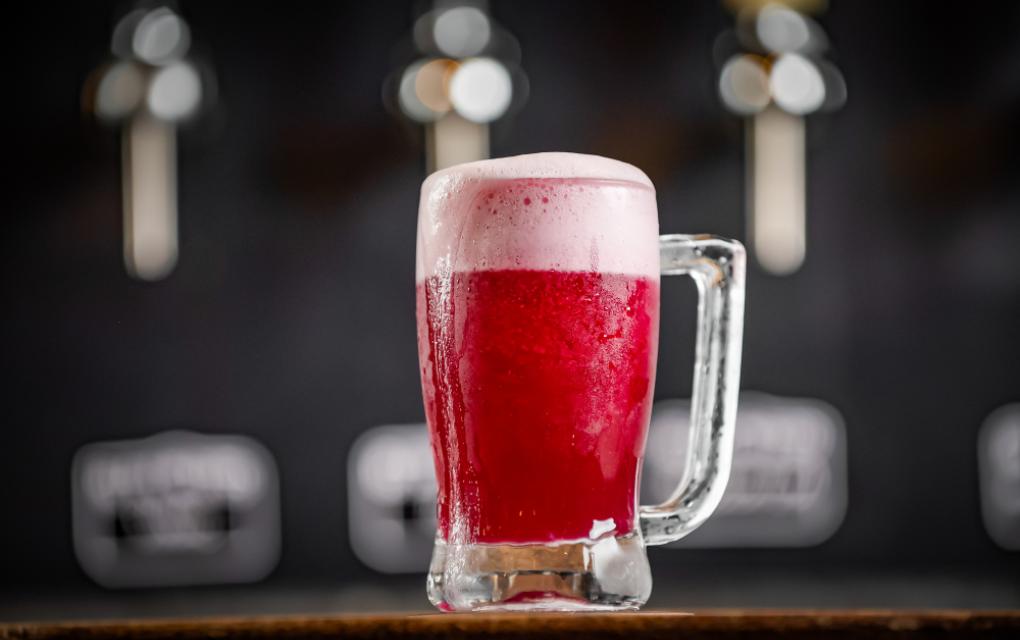 Como empreender com chopp de vinho
