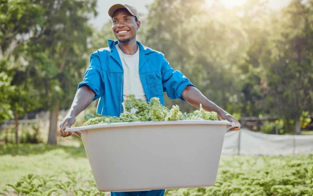 Comunidades quilombolas: homem negro em lavoura