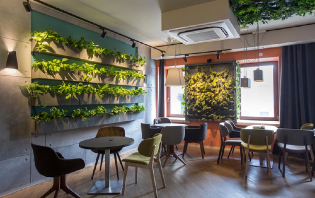 Decoração com plantas: 3 formas de embelezar restaurantes