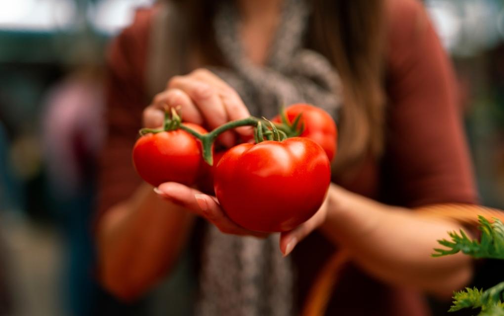 Mulher segurando tomates frescos