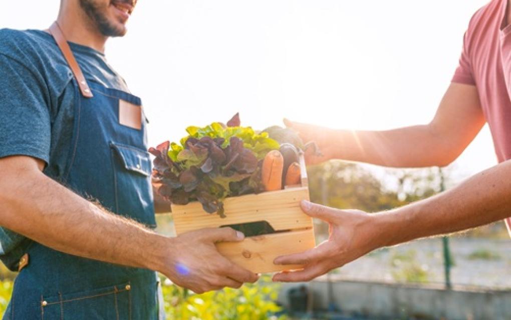 Gastronomia Sustentável: práticas para um negócio verde