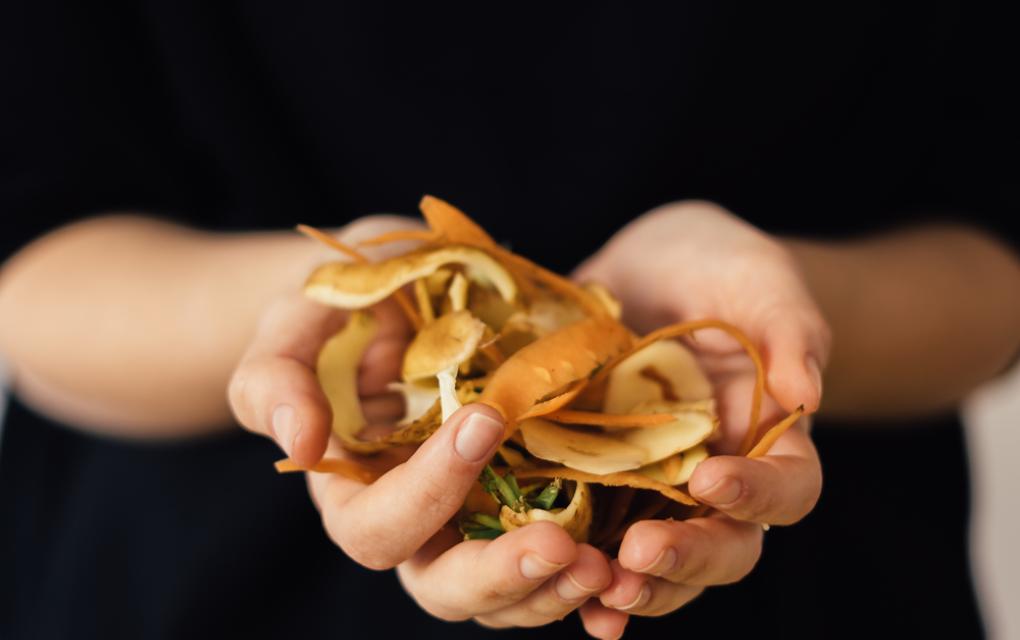 Reaproveitamento na gestão de alimentos
