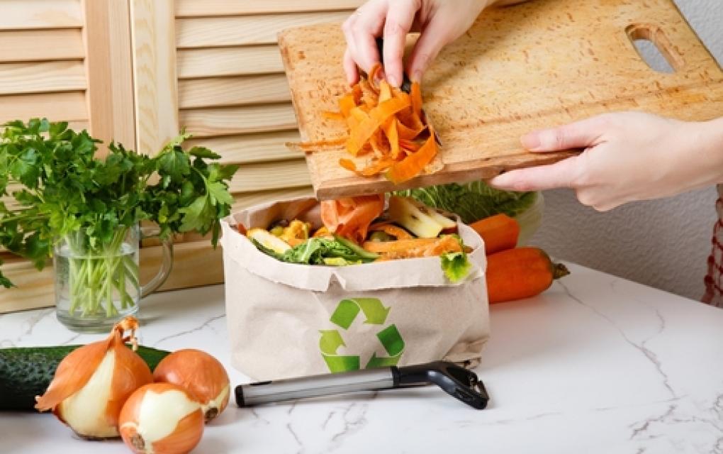 reaproveitando alimentos