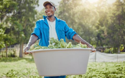 Comunidades quilombolas: homem negro em lavoura