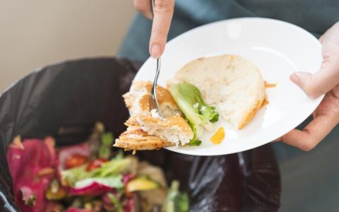 Comida sendo jogada fora aumenta custos e desperdícios