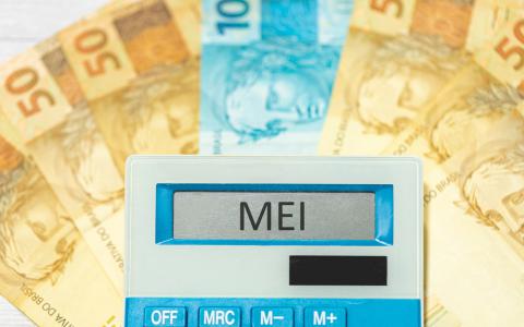 Declaração de imposto de renda MEI 2025, dasn-simei