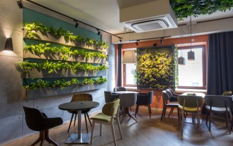 Decoração com plantas: 3 formas de embelezar restaurantes