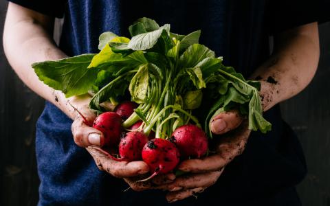 Como aproveitar os alimentos sem desperdício - Academia Assaí